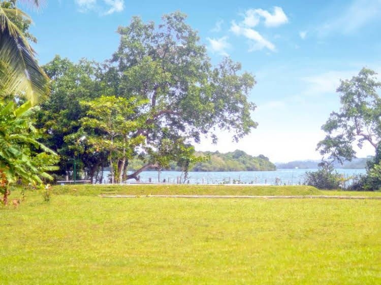 Lumbini Lagoon1