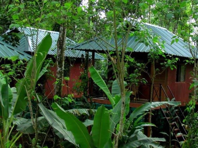Monsoon Retreats0