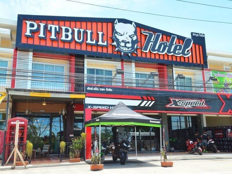 Pitbull Hotel4