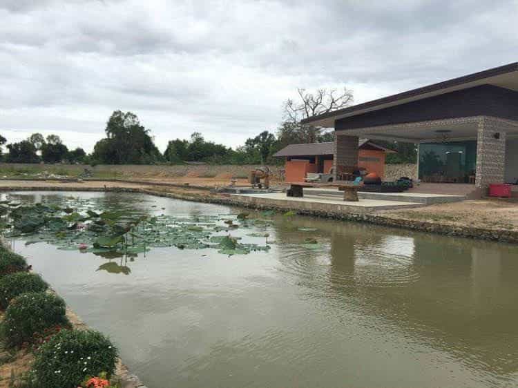 บัว ธารา รีสอร์ท บัว ธารา รีสอร์ท