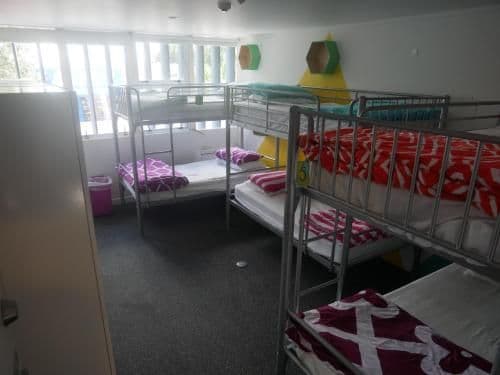 Bed in 6-Bed Mixed Dormitory Room