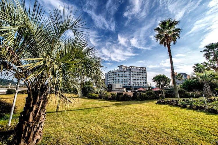 Coop City Hotel Jeju Beach Coop City Hotel Jeju Beach