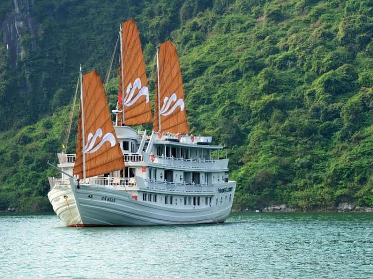 Paradise Luxury Cruise Paradise Luxury Cruise