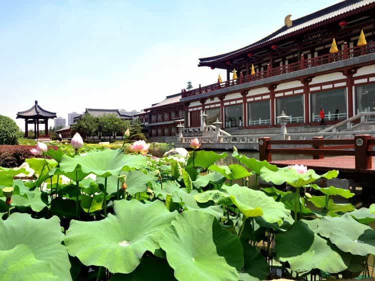 Tang-paradise Hotel Tang-paradise Hotel
