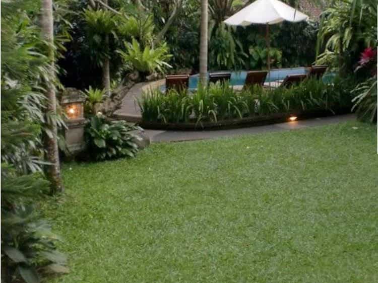 Adi Cottages Ubud Adi Cottages Ubud