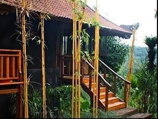 Bali Eco Stay0