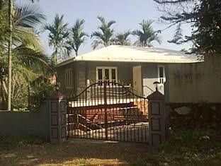 Wayanad Palms4