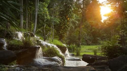 ภูเรือ รีสอร์ท (Phurua Resort)2