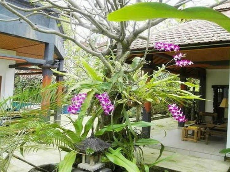Villa Taman Ganesha Villa Taman Ganesha