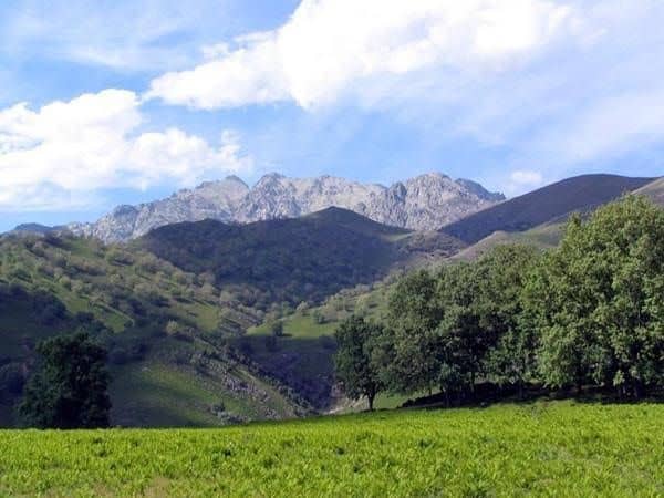 Rusticae Hotel Nabia Rusticae Hotel Nabia