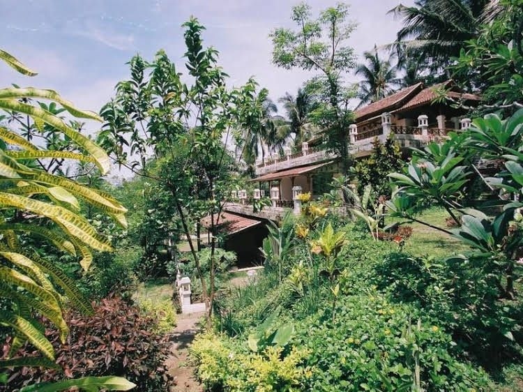 Gaia Oasis Mountain Retreat4