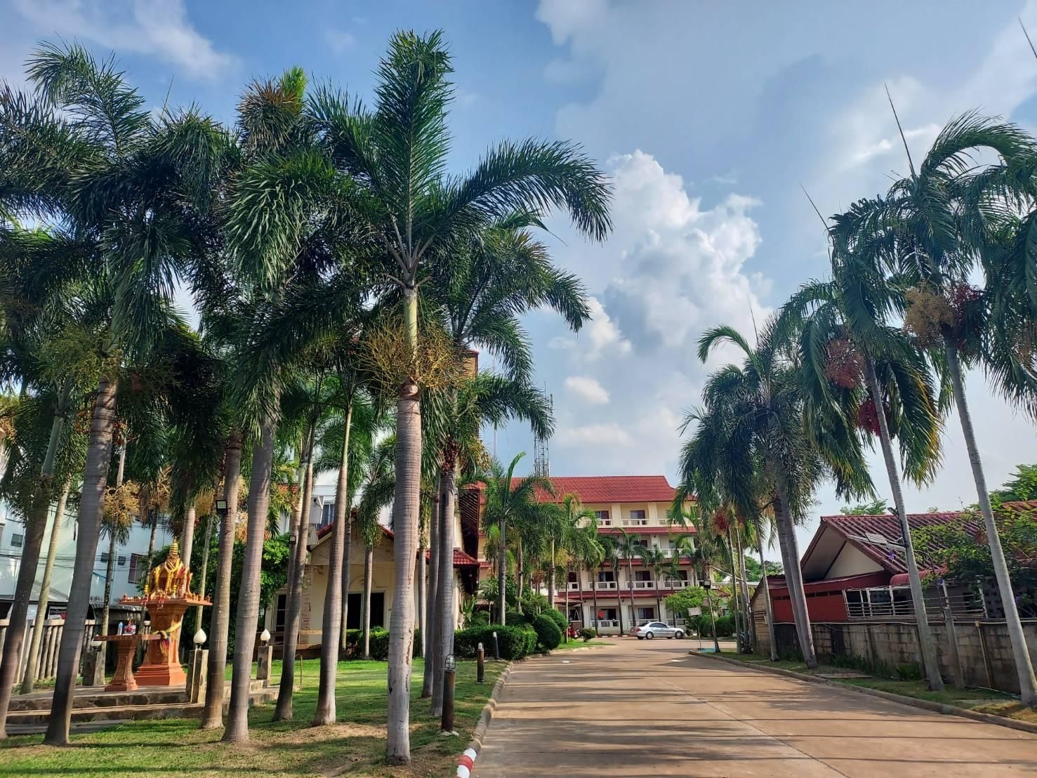 โรงแรมเอ.พี.การ์เดน (A.P Garden Hotel)2