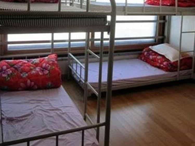 Jin's Paradise Hostel Jin's Paradise Hostel