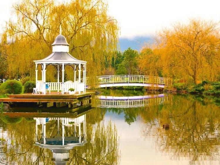 Lakeside Luxury Bed & Breakfast0