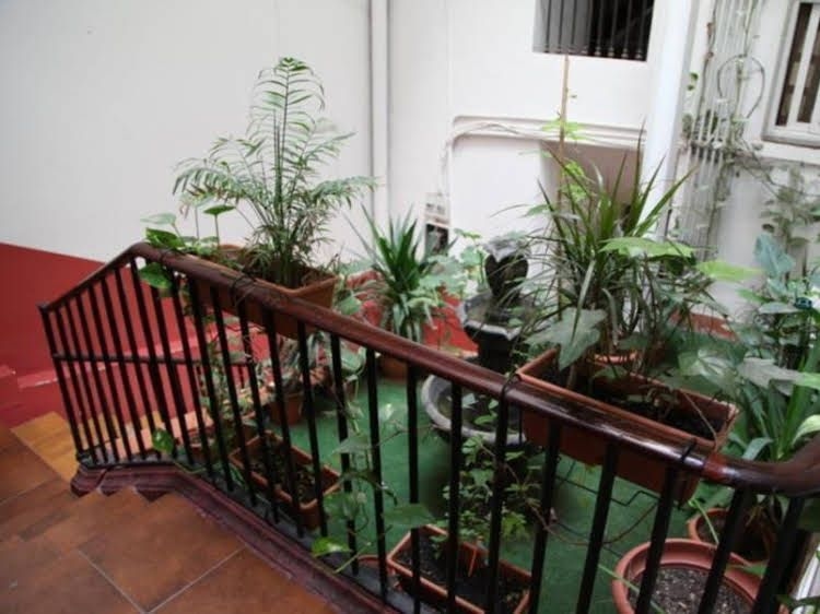 Hostel Razio4