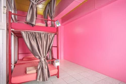 Bunk Bed in Mixed Dormitory Room
