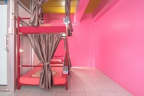 Bunk Bed in Mixed Dormitory Room
