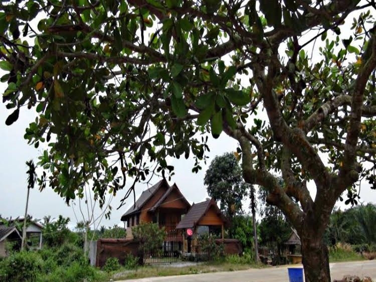 Baan Tu4