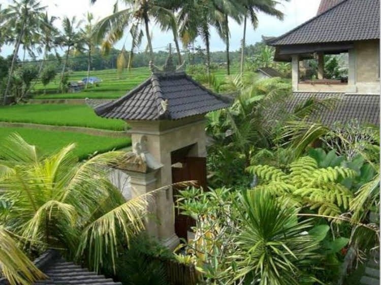 Villa Ibu4