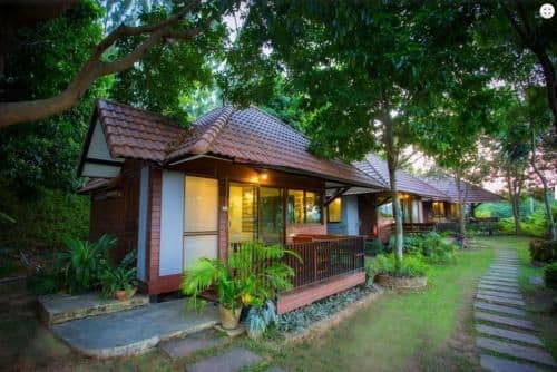 Standard Bungalow