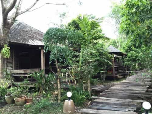 Pang Mai Resort Pang Mai Resort