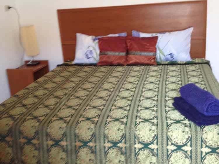 Honey Bear Guesthouse Honey Bear Guesthouse