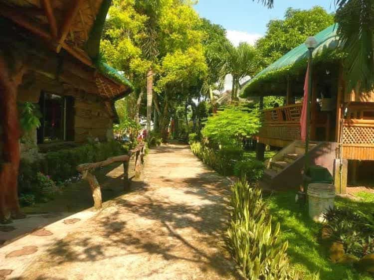 Oyster Forest Life Resort Oyster Forest Life Resort