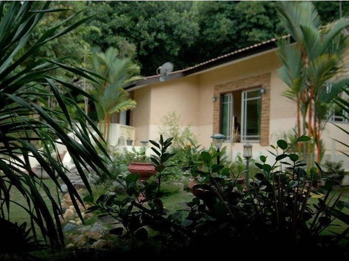 Jungle Resort0