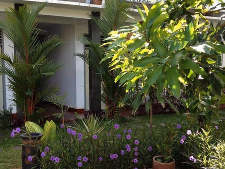 Mango Guesthouse2