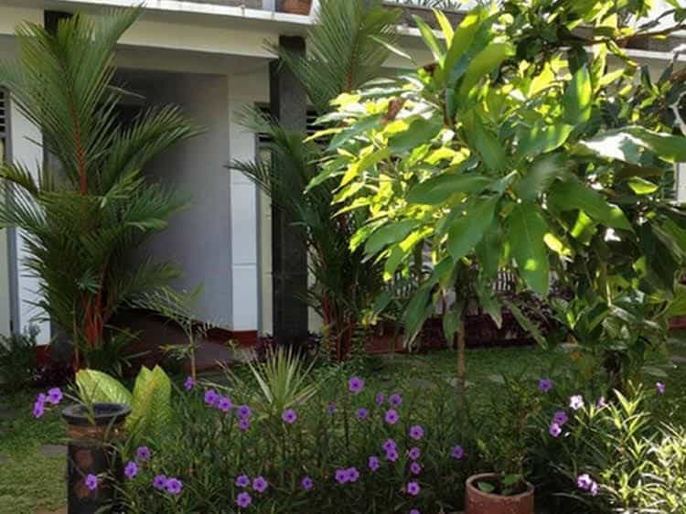 Mango Guesthouse Mango Guesthouse