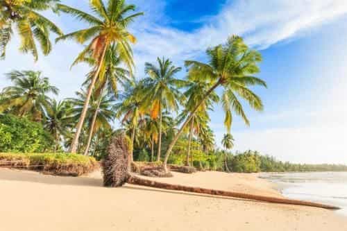 OYO Water Palm Resort OYO Water Palm Resort