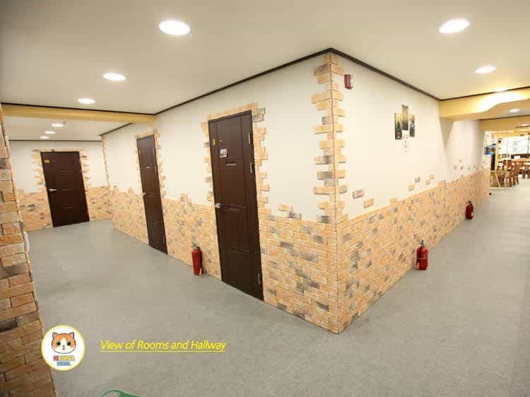 Hi Busan Guest House Hi Busan Guest House