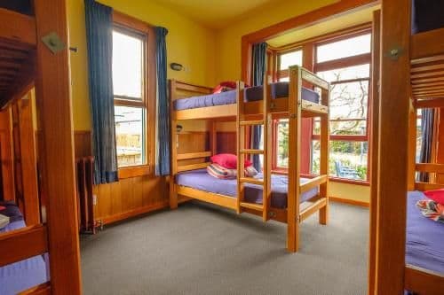 Bed in 8-Bed Mixed Dormitory Room