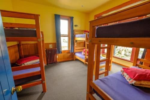 Bed in 8-Bed Mixed Dormitory Room