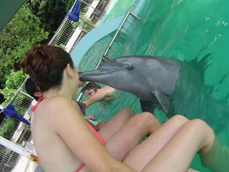 Bidadari Island Resort Bidadari Island Resort