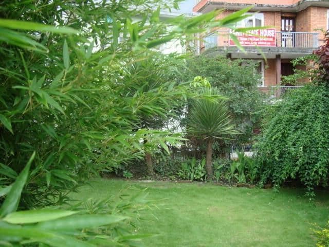 Kathmandu Peace Guest House Kathmandu Peace Guest House