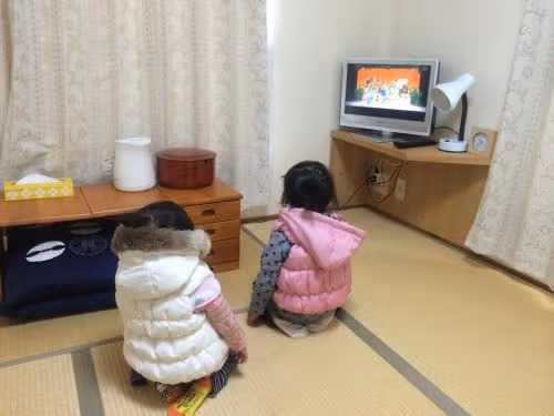 Standard Japanese-Style Room - Non-Smoking