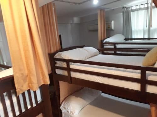Bunk Bed in Mixed Dormitory Room