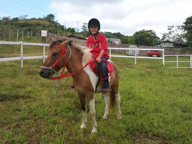 Pineridge Bucari Mountain Resort0