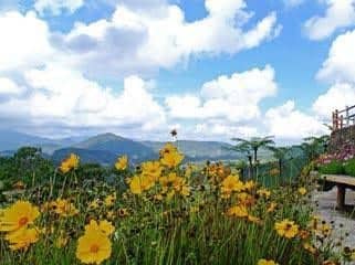 Holiday Accommodation Cameron Highlands Holiday Accommodation Cameron Highlands