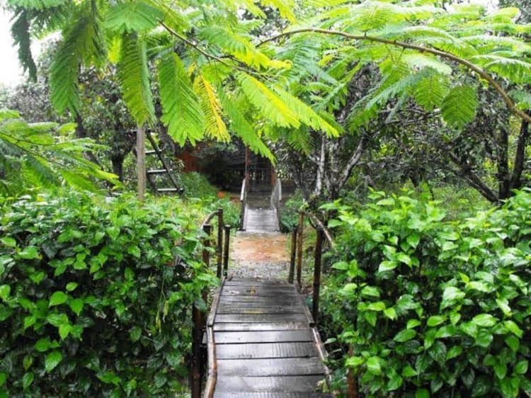 Ut Phuong Ecological Garden Resort4
