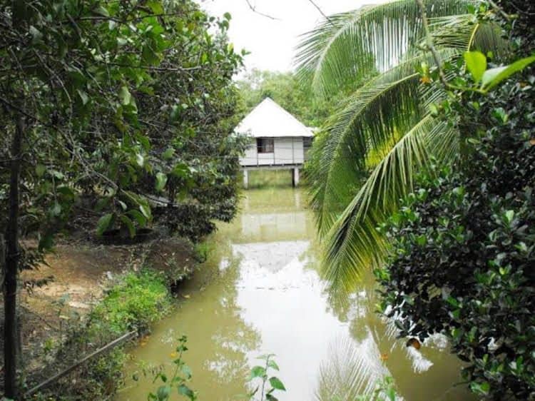 Ut Phuong Ecological Garden Resort Ut Phuong Ecological Garden Resort