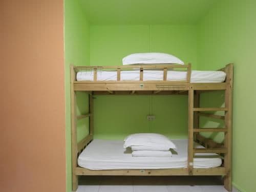 Single Bed in 8-Bed Mixed Dormitory Room
