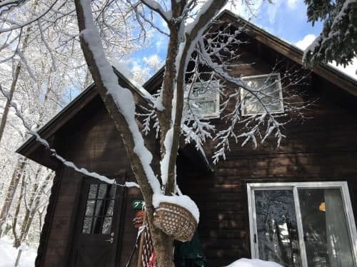 Cottage