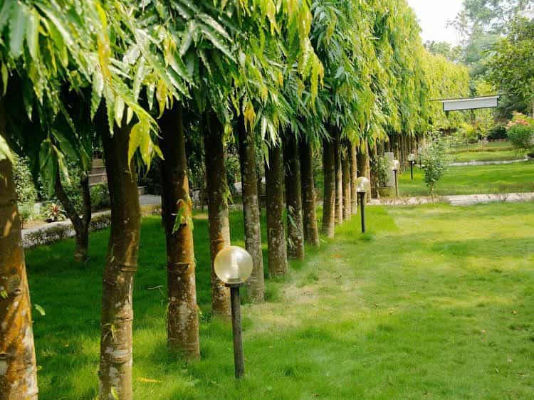 Jungle Safari Resort Jungle Safari Resort