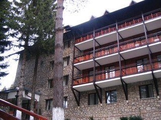 Bradul Hotel3