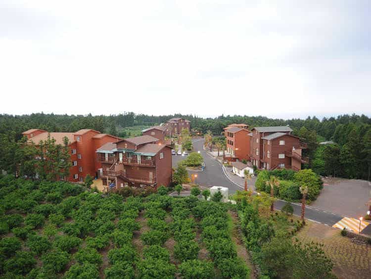 Jazz Village Resort Jazz Village Resort