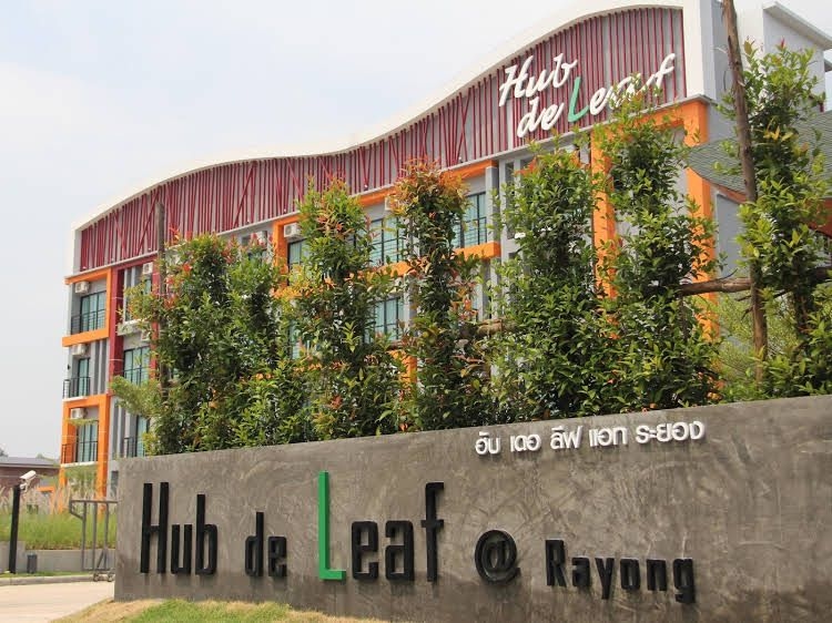 ฮับ เดอ ลีฟ ที่ ระยอง ดีไซน์ รีสอร์ต (Hub de Leaf at Rayong Design Resort)0