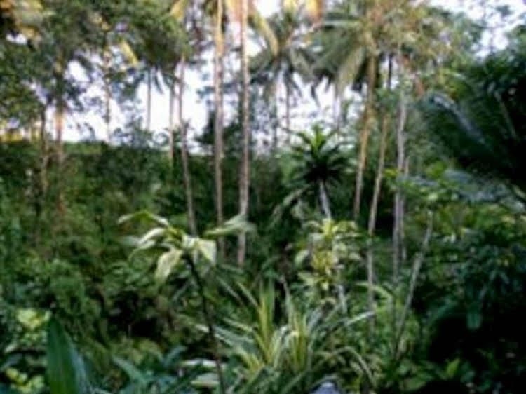 Mulawarman Guesthouse1