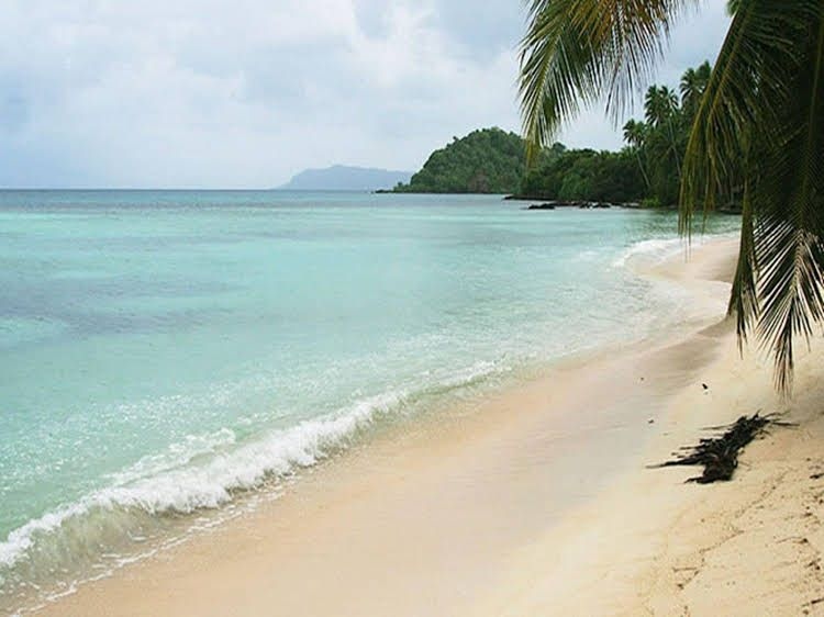Tarzans Beach Resort1